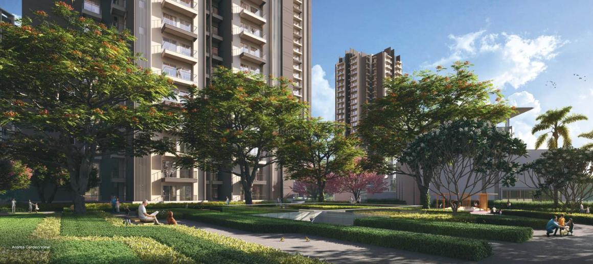 RG Pleiaddes - Image 8