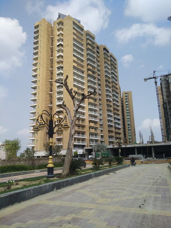 Migsun Ultimo - Image 9