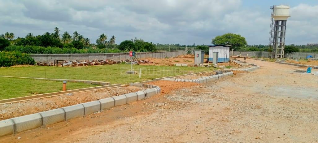 Palm County - Image 15