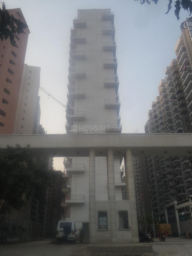 Victory Ace - Image 3