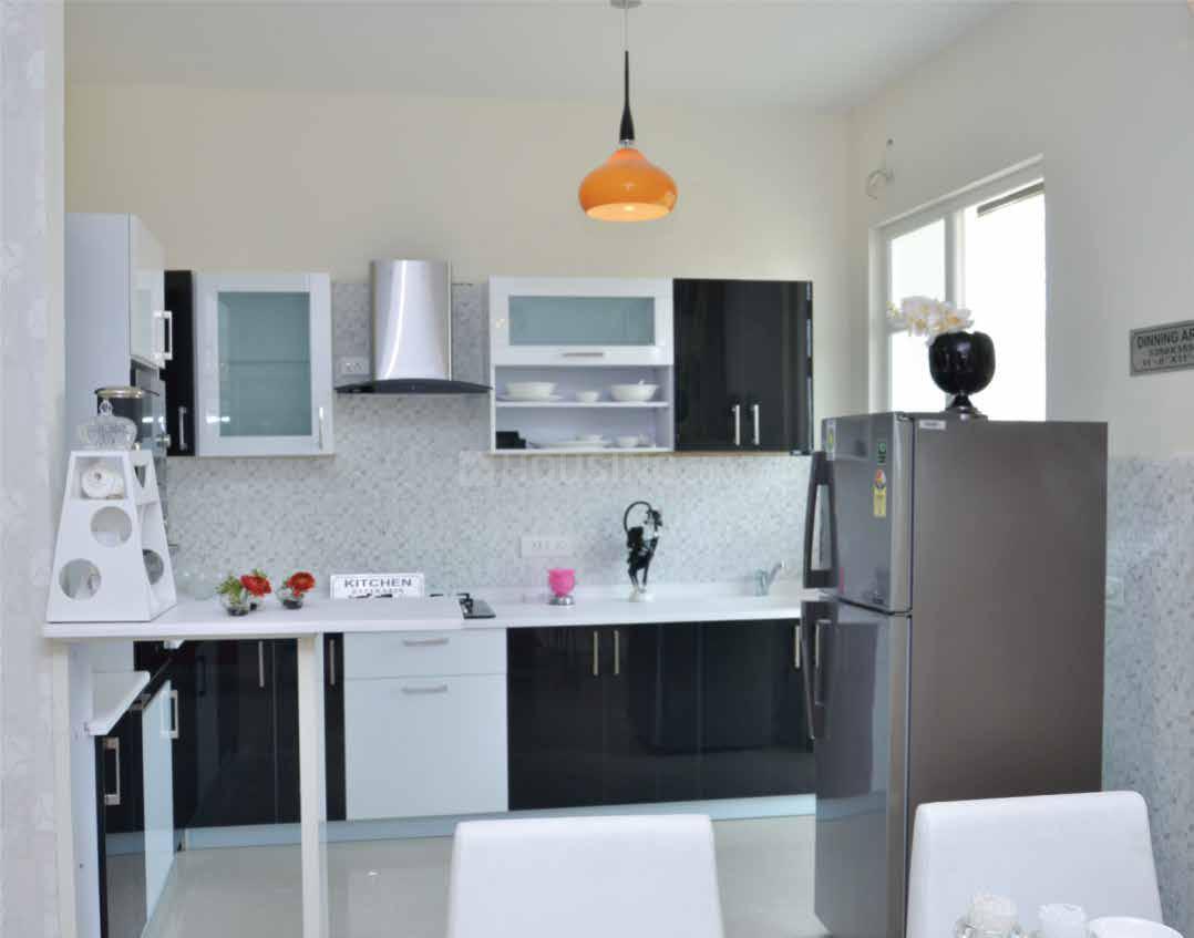 Solitairian City - Image 4