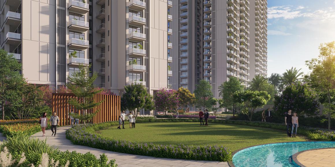 SS Camasa - Image 15