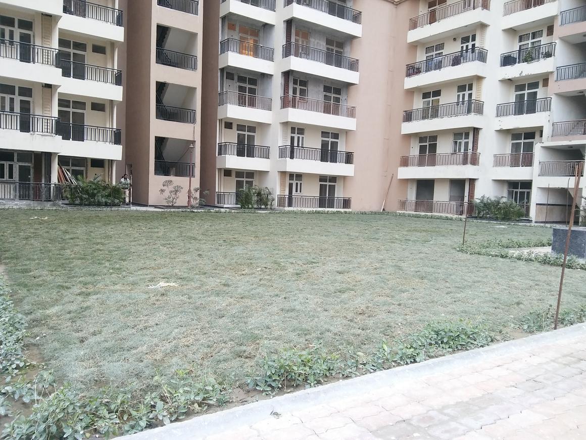 Saviour Greenisle - Image 19