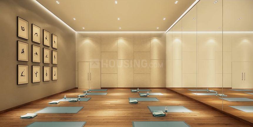 Prateek Canary - Image 14