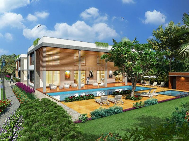 Pyramid Palm County - Image 2