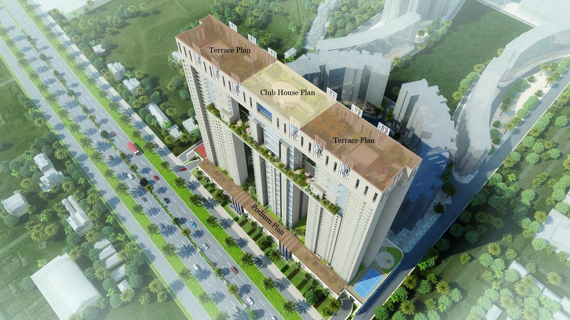 Saha Amadeus - Image 4