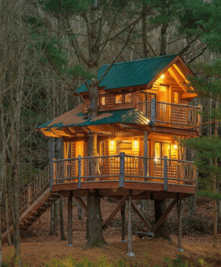 Evergreen Mango Orchad Tree Houses - Image 5