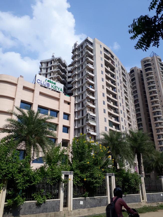 Sikka Karmic Greens - Image 7