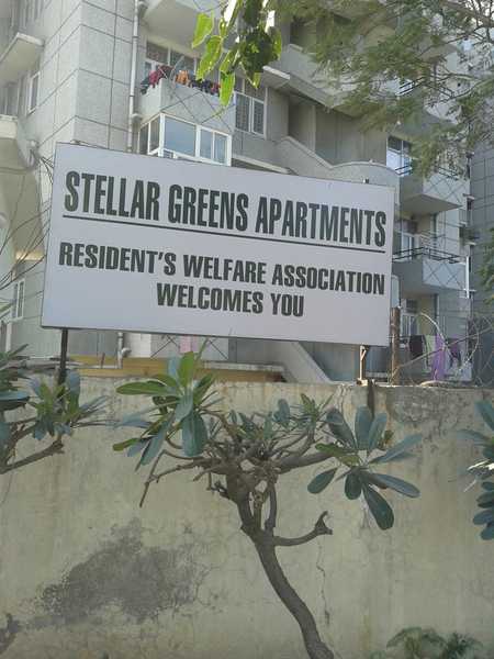 Stellar Greens - Image 10