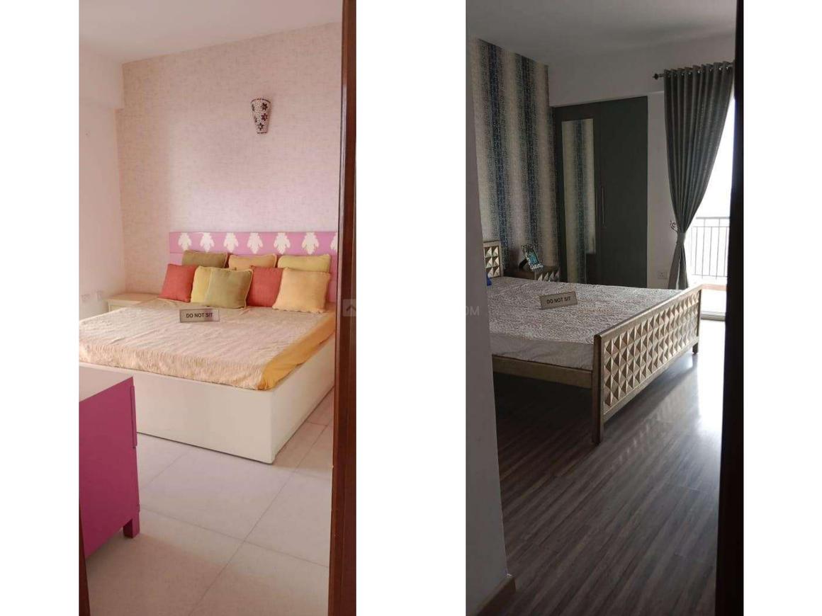 Home And Soul Beetle Lap - Image 10