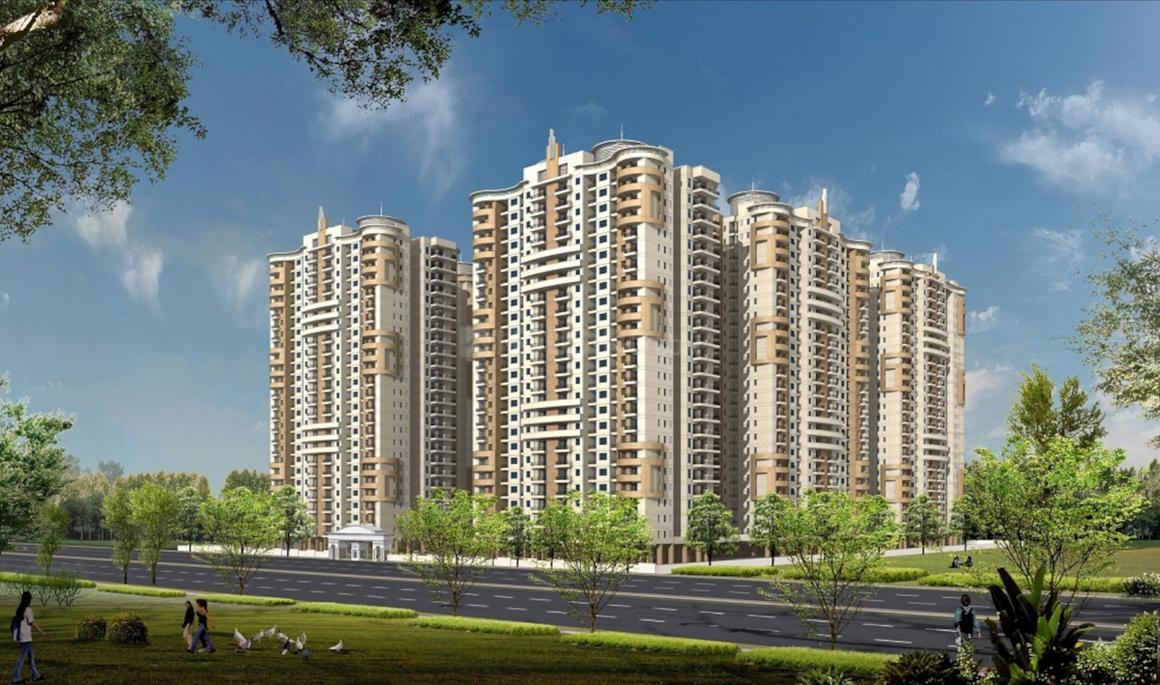 Primrose Ryne - Image 2