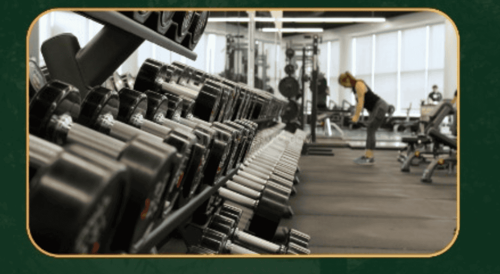 Trivor Urbania City - Image 9