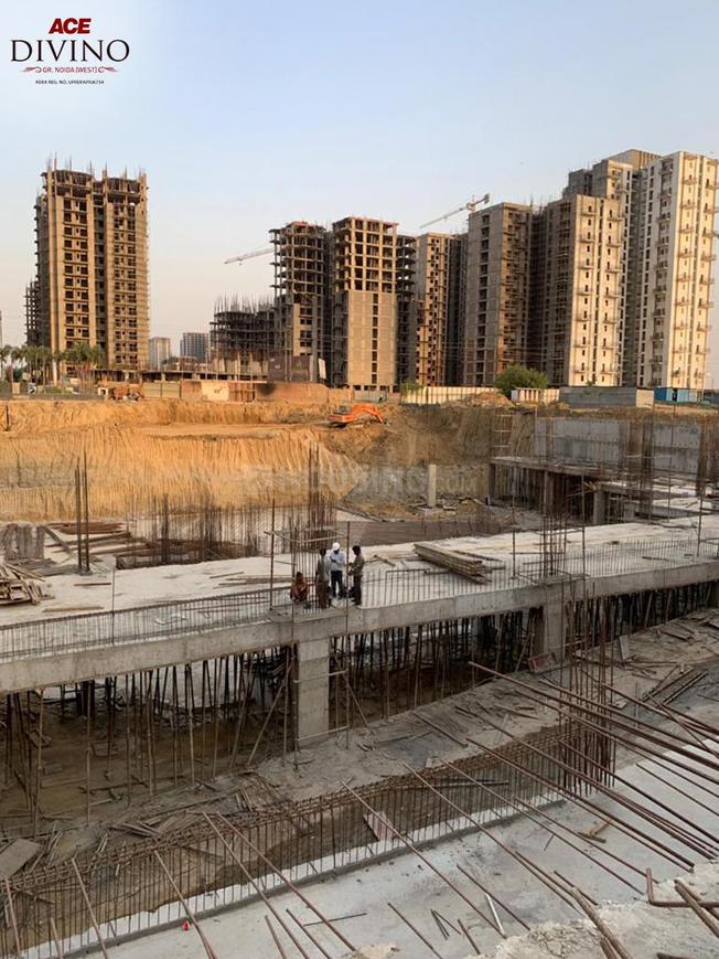 ACE Divino - Image 47