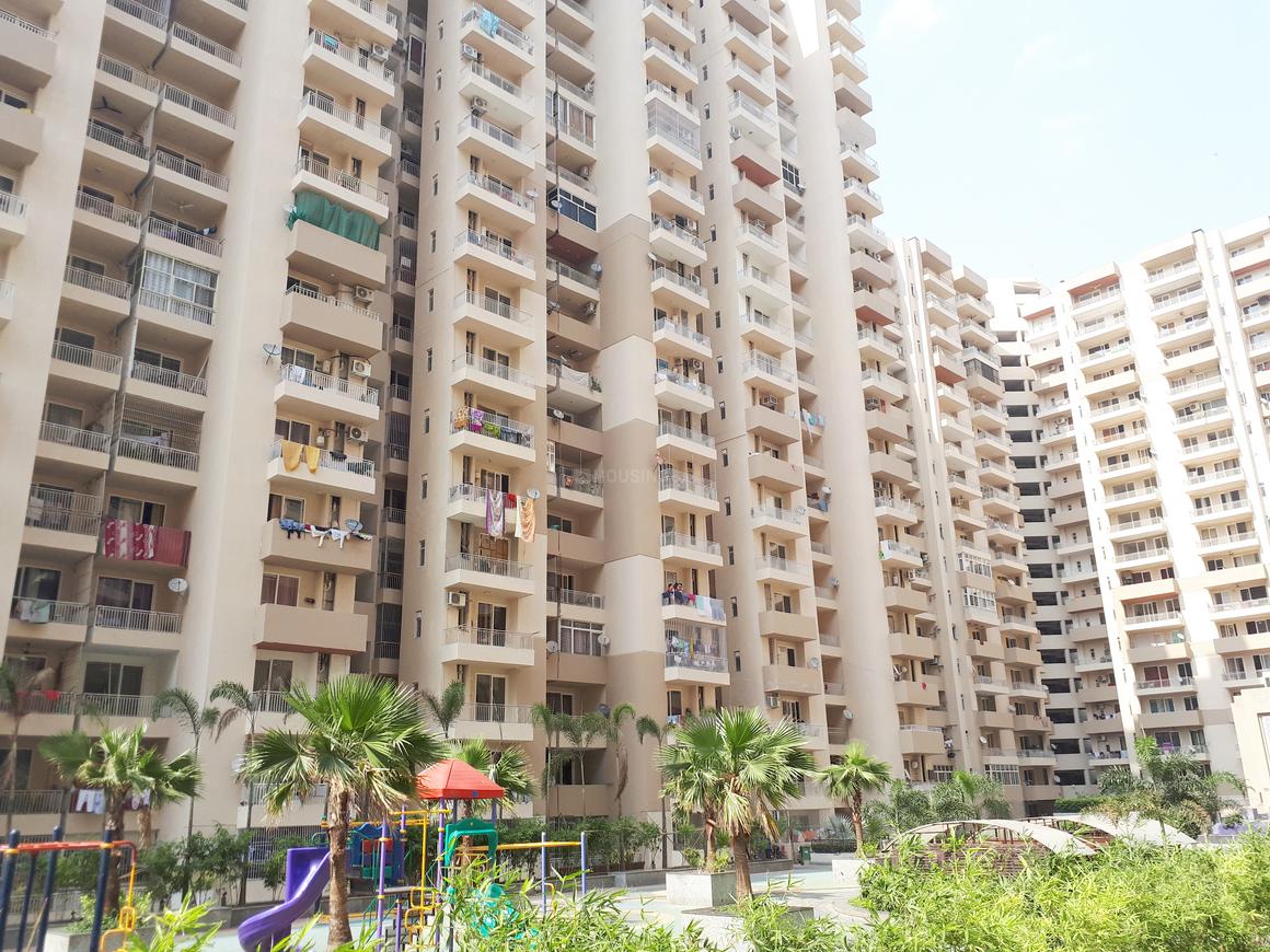 ACE Group Platinum Zeta 1 - Image 8