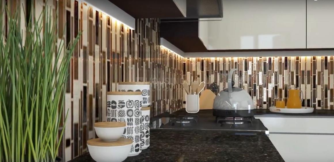 ACE Divino - Image 19