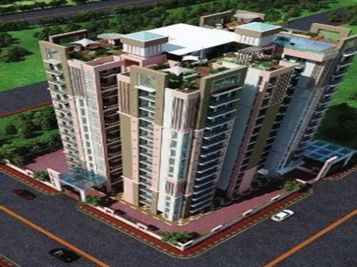 Parakh Golden Maple - Image 2