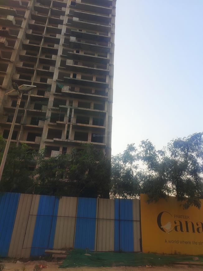 Prateek Canary - Image 45