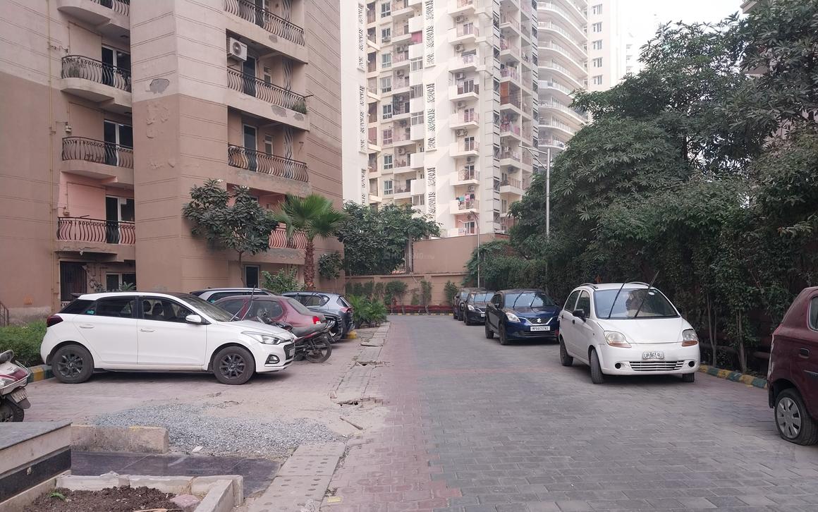 Sikka Karmic Greens - Image 33