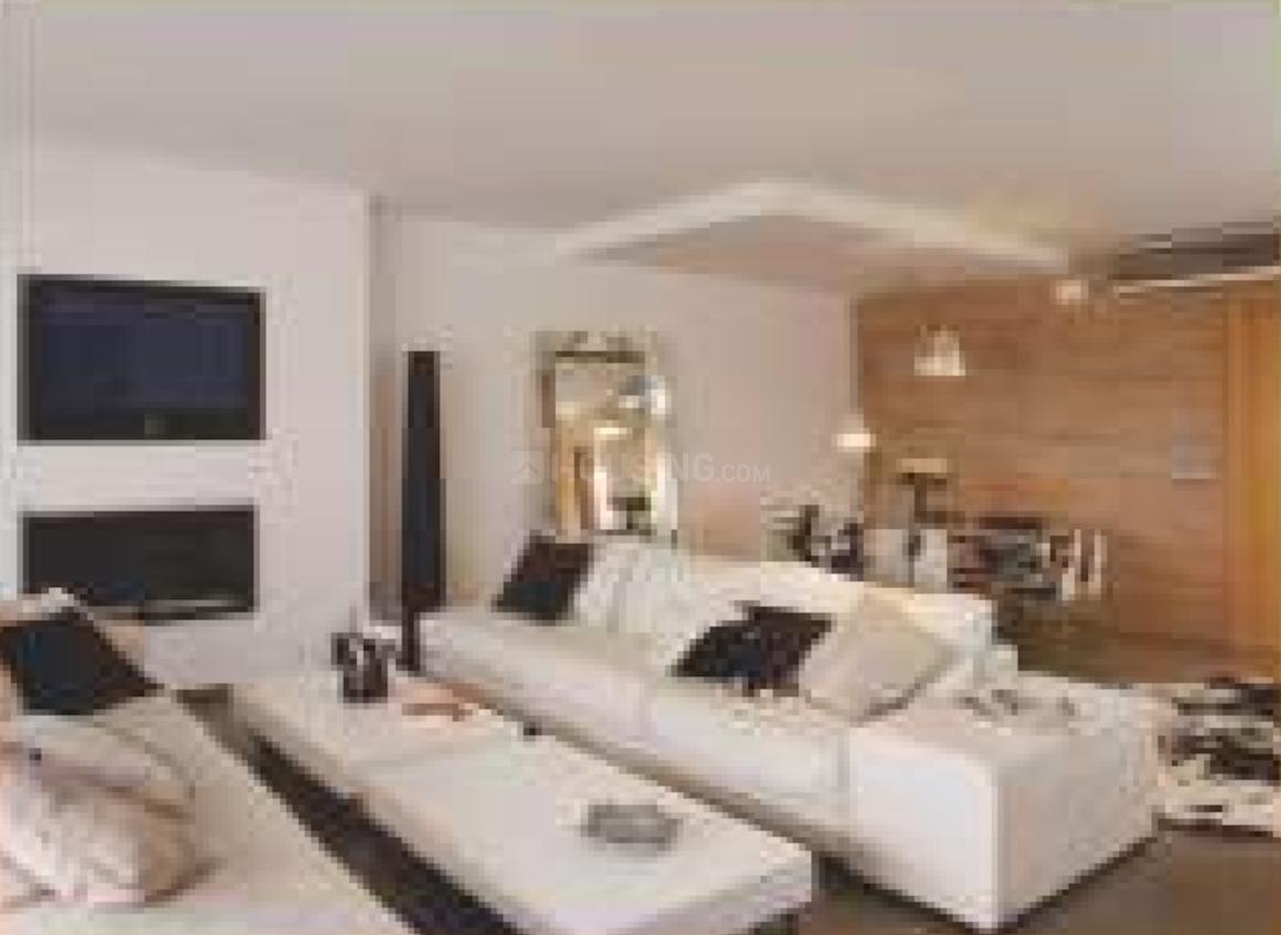 Today Kings Park - Image 13