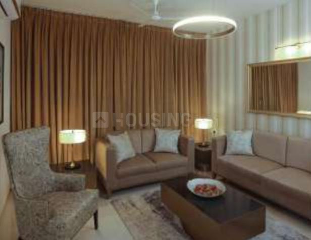 Ultima Allure - Image 5