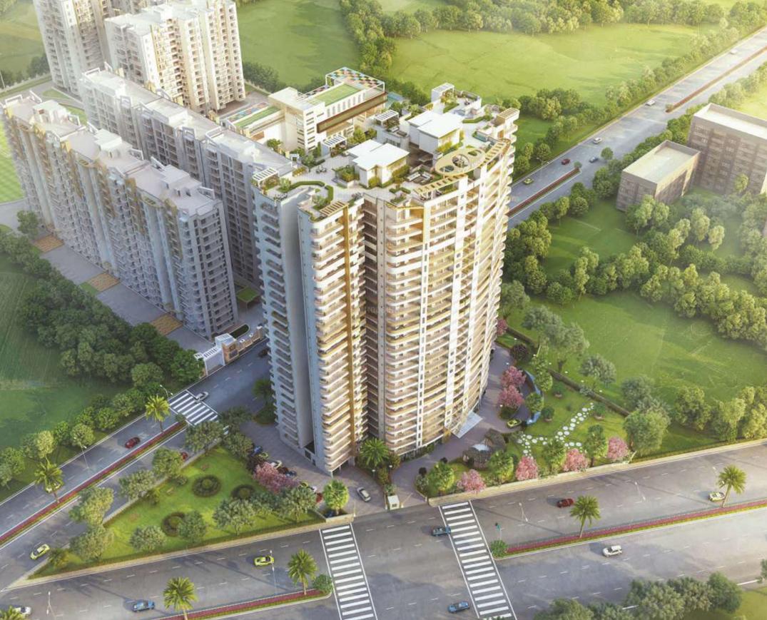 VVIP Mangal - Image 3