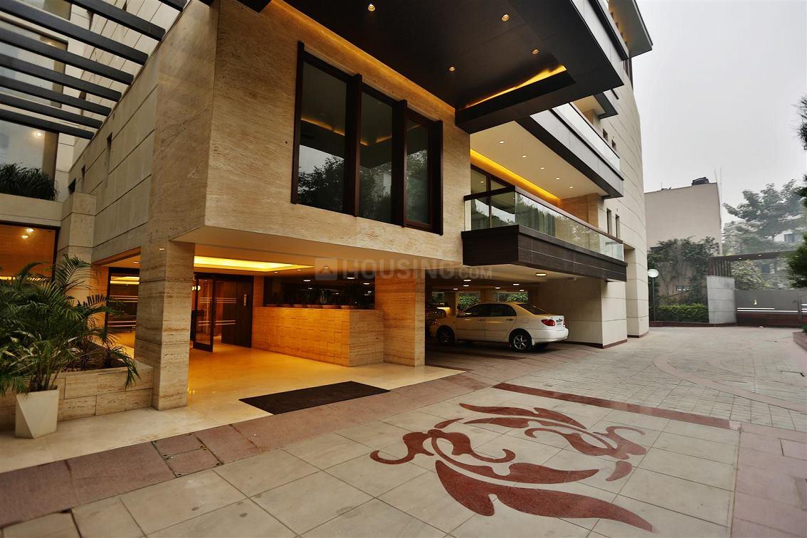 Aarone Botanica - Image 5