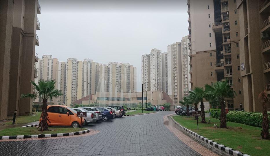 Paras Tierea - Image 27