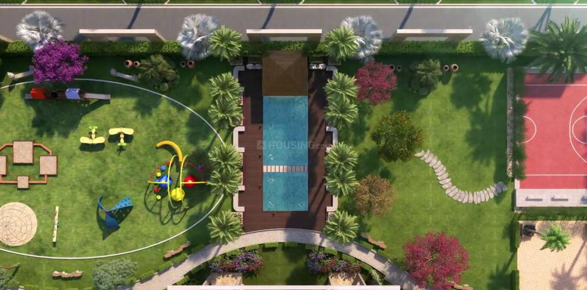 Ratan Pearls - Image 15