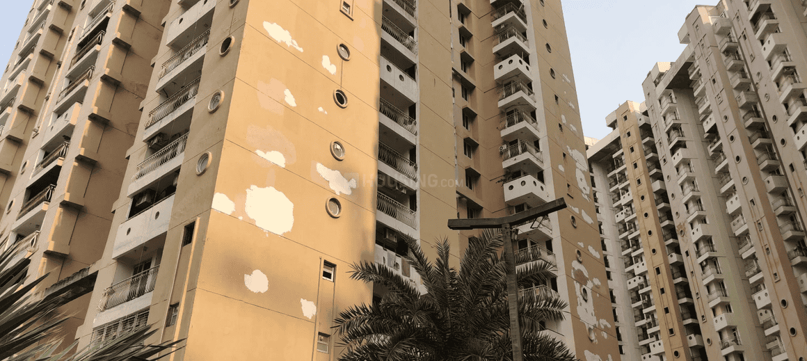 Sikka Kaamna Greens - Image 3