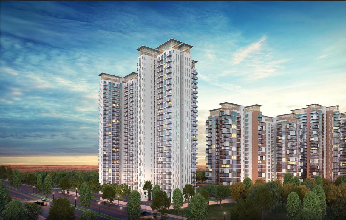 ACE Ace Starlit - Image 2