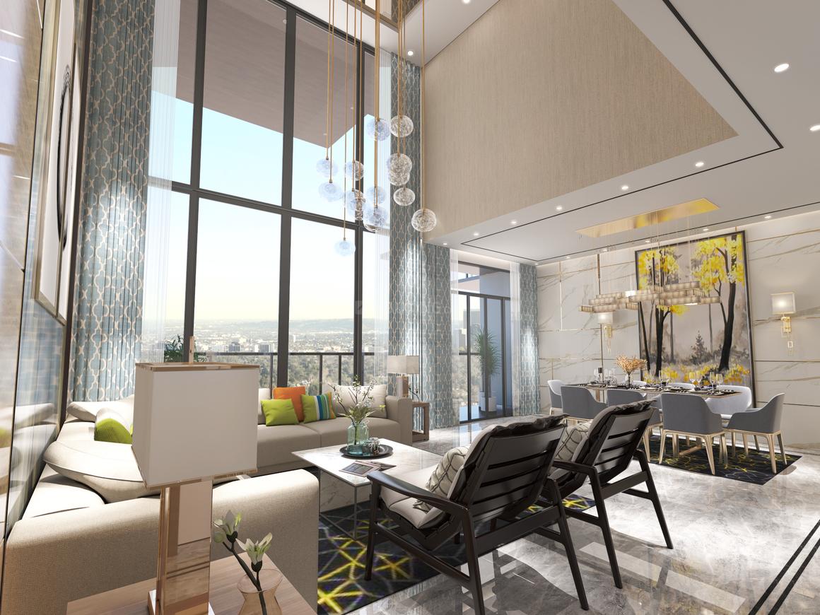 Apex D Rio - Image 16