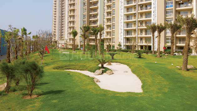 ABA Cleo Gold - Image 9