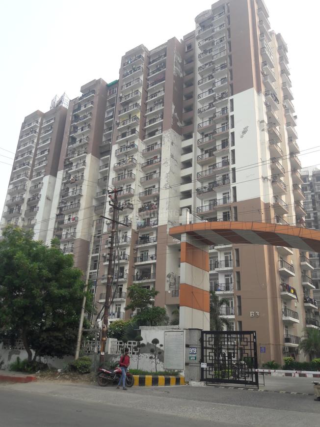 Maxblis Glory - Image 3