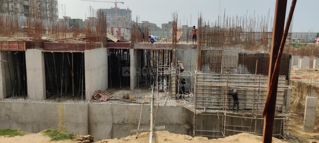 Irish Platinum - Image 31