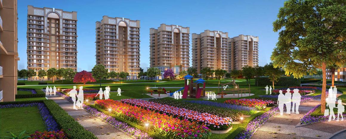 Sethi Venice - Image 6