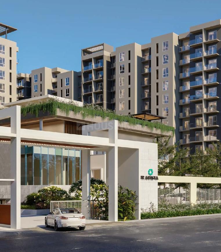 DNR Arista Phase 1 - Image 2