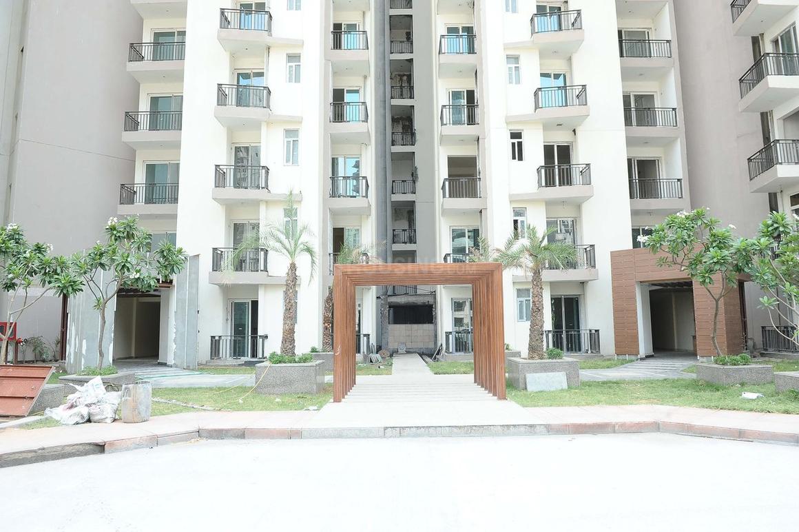 Sikka Karnam Greens - Image 33