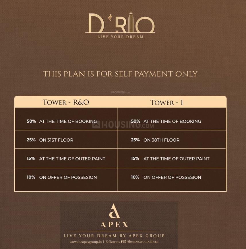 Apex D Rio - Image 37