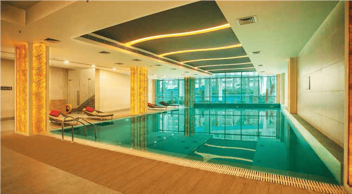 ABA Cleo Gold - Image 10