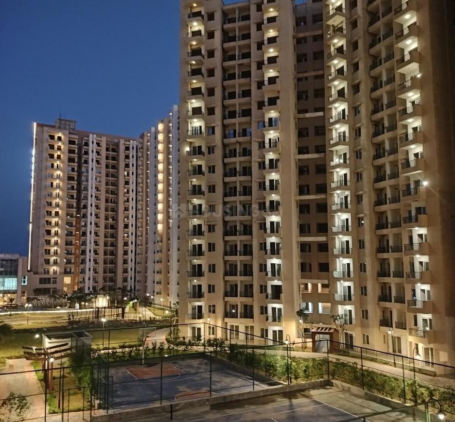 Oasis Grandstand - Image 6