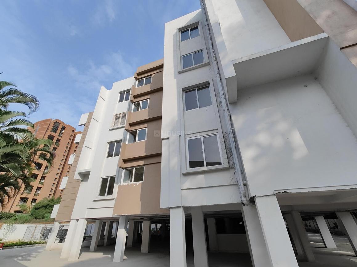 Mahaveer Carnation - Image 6