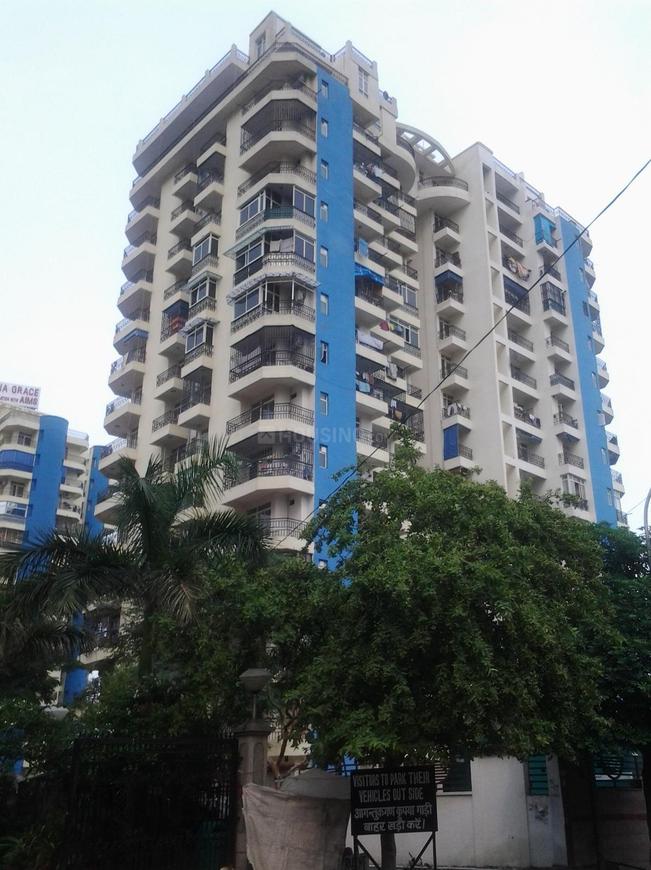 Gardenia Grace - Image 4