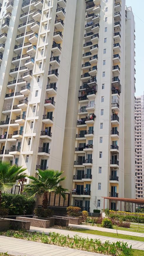 Sikka Karnam Greens - Image 8