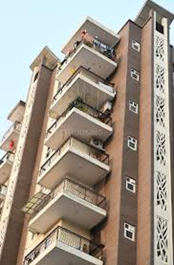 Oxirich Square One - Image 4