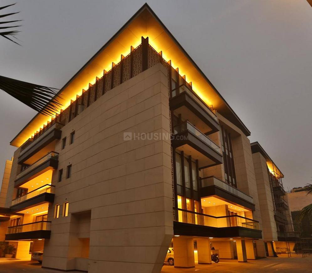 Aarone Botanica - Image 4