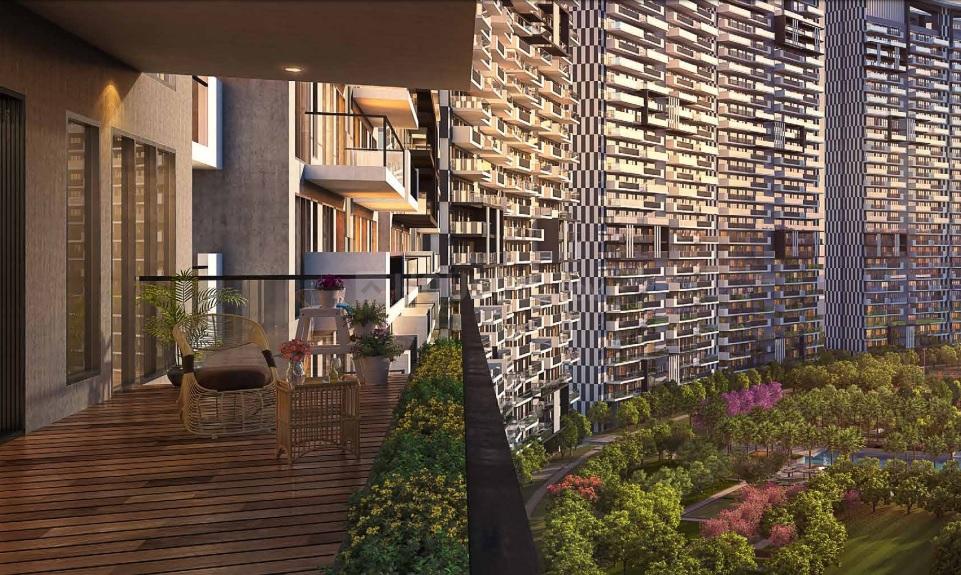 Prateek Canary - Image 11