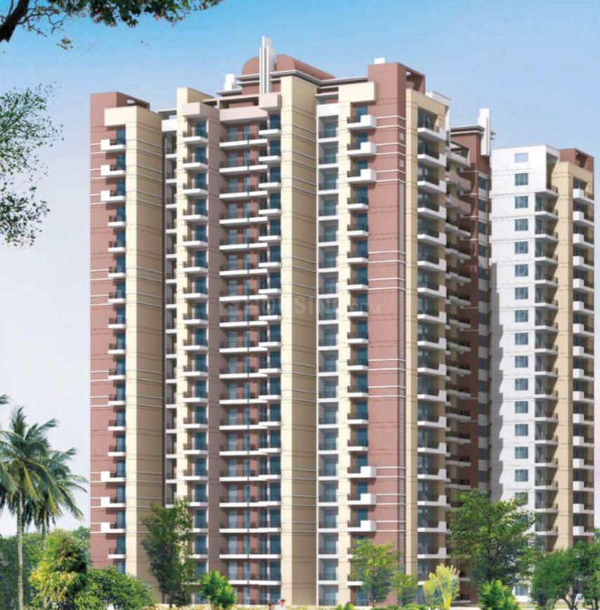 Skytech Colours Avenue - Image 2