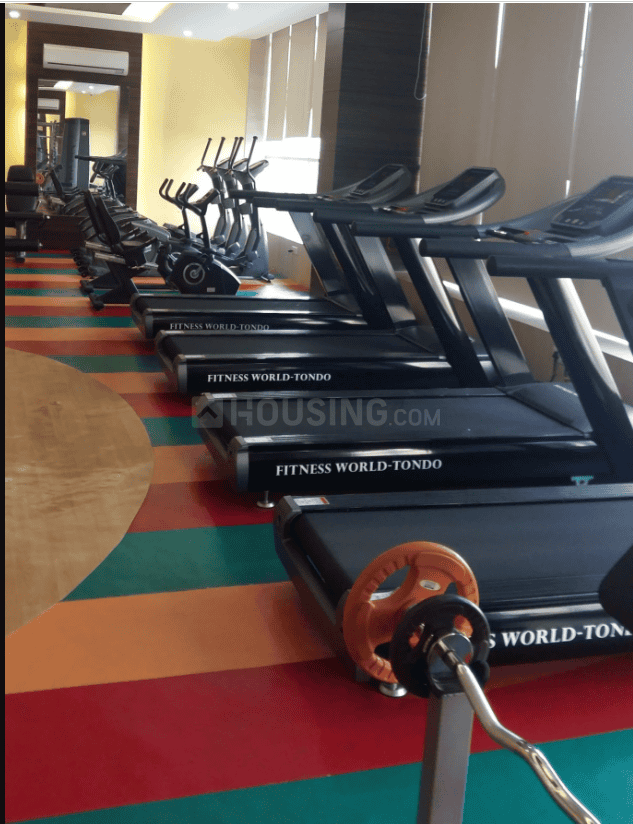 Exotica Dreamville - Image 22