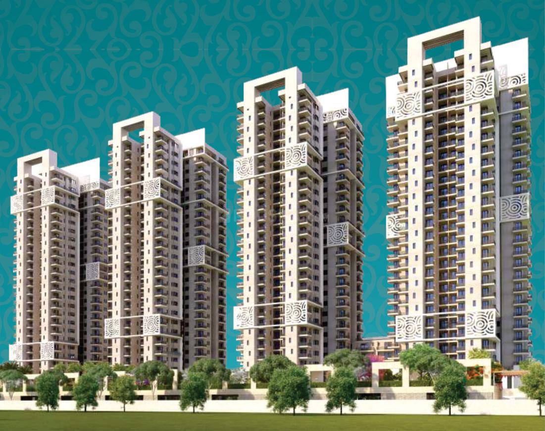 Ratan Pearls - Image 4