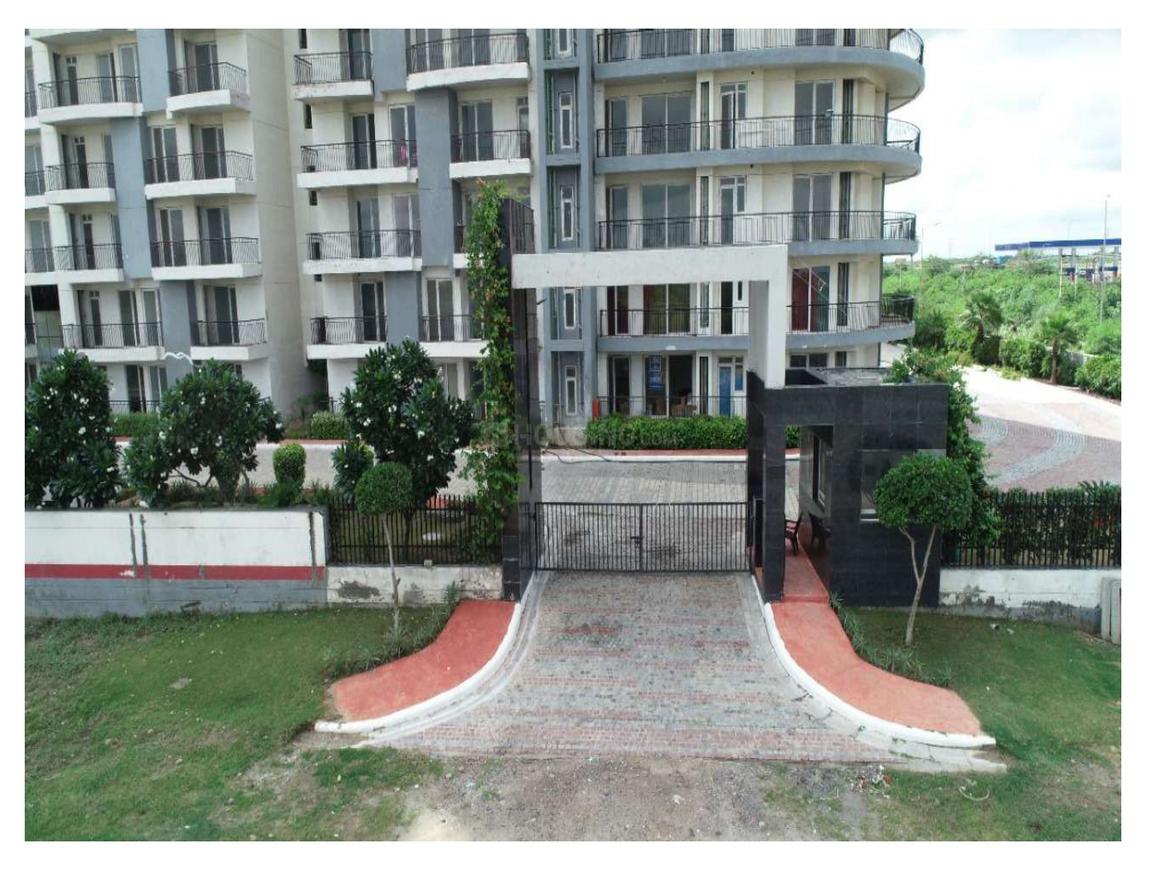 Home And Soul Beetle Lap - Image 11